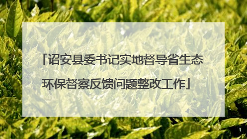 诏安县委书记实地督导省生态环保督察反馈问题整改工作