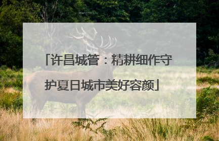 许昌城管：精耕细作守护夏日城市美好容颜