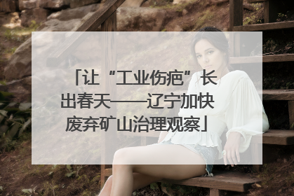 让“工业伤疤”长出春天——辽宁加快废弃矿山治理观察
