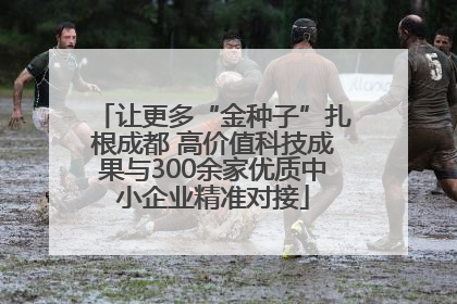 让更多“金种子”扎根成都 高价值科技成果与300余家优质中小企业精准对接