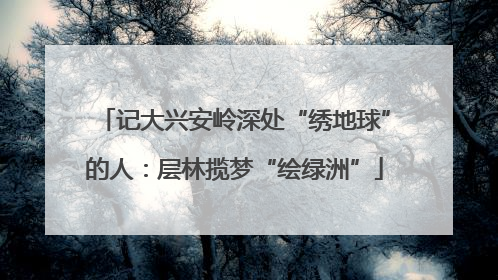 记大兴安岭深处“绣地球”的人：层林揽梦“绘绿洲”