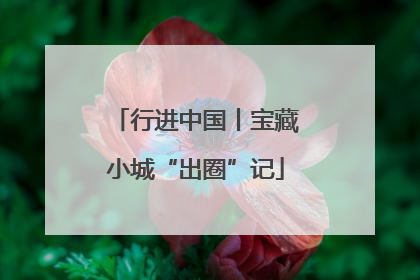 行进中国丨宝藏小城“出圈”记