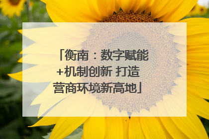 衡南：数字赋能+机制创新 打造营商环境新高地