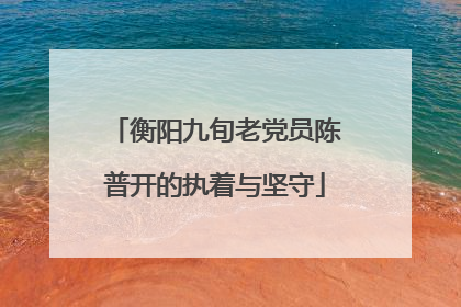 衡阳九旬老党员陈普开的执着与坚守