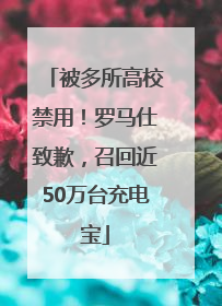 被多所高校禁用！罗马仕致歉，召回近50万台充电宝