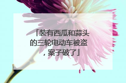 装有西瓜和蒜头的三轮电动车被盗，案子破了