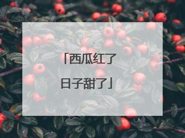 西瓜红了 日子甜了