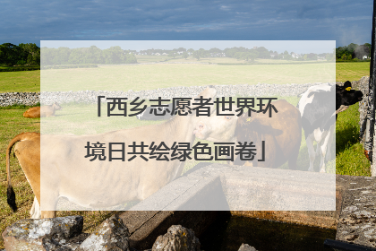 西乡志愿者世界环境日共绘绿色画卷