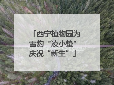 西宁植物园为雪豹“凌小蛰”庆祝“新生”