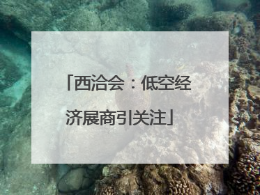 西洽会：低空经济展商引关注