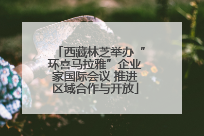 西藏林芝举办“环喜马拉雅”企业家国际会议 推进区域合作与开放