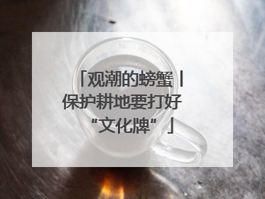 观潮的螃蟹丨保护耕地要打好“文化牌”