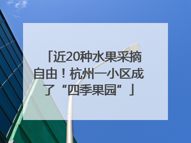 近20种水果采摘自由！杭州一小区成了“四季果园”