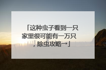 这种虫子看到一只家里很可能有一万只，除虫攻略→