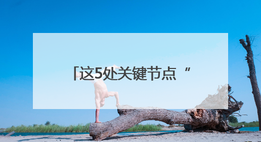 这5处关键节点“微改造”，岳麓山游玩有了新体验