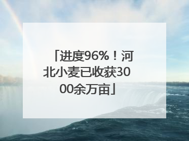 进度96%！河北小麦已收获3000余万亩