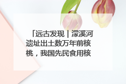 远古发现｜濛溪河遗址出土数万年前核桃，我国先民食用核桃历史大幅提前
