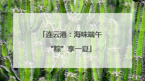 连云港：海味端午 “粽”享一夏