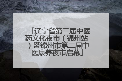 辽宁省第二届中医药文化夜市（锦州站）暨锦州市第二届中医康养夜市启幕
