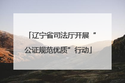 辽宁省司法厅开展“公证规范优质”行动