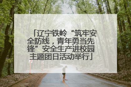 辽宁铁岭“筑牢安全防线，青年勇当先锋”安全生产进校园主题团日活动举行