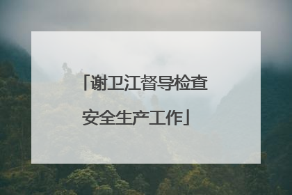 谢卫江督导检查安全生产工作