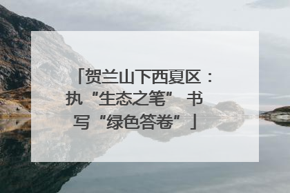 贺兰山下西夏区：执“生态之笔” 书写“绿色答卷”