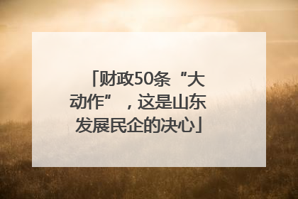 财政50条“大动作”，这是山东发展民企的决心