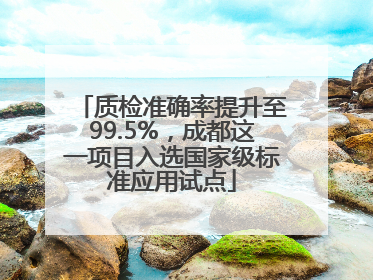 质检准确率提升至99.5%，成都这一项目入选国家级标准应用试点