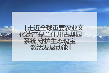 走近全球重要农业文化遗产皋兰什川古梨园系统 守护生态瑰宝 激活发展动能
