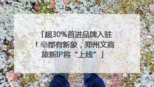 超30%首进品牌入驻！亳都有新象，郑州文商旅新IP将“上线”
