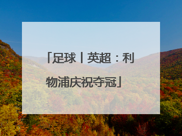 足球丨英超：利物浦庆祝夺冠