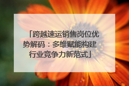 跨越速运销售岗位优势解码：多维赋能构建行业竞争力新范式