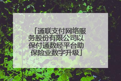 通联支付网络服务股份有限公司以保付通数经平台助保险业数字升级
