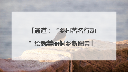 通道：“乡村著名行动”绘就美丽侗乡新图景