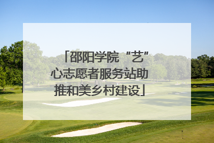 邵阳学院“艺”心志愿者服务站助推和美乡村建设