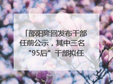 邵阳隆回发布干部任前公示，其中三名“95后”干部拟任副科级领导，均系硕士选调生