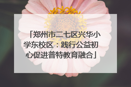 郑州市二七区兴华小学东校区：践行公益初心促进普特教育融合
