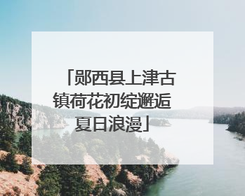 郧西县上津古镇荷花初绽邂逅夏日浪漫