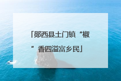 郧西县土门镇“椒”香四溢富乡民