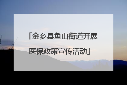 金乡县鱼山街道开展医保政策宣传活动