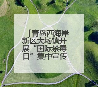 青岛西海岸新区大场镇开展“国际禁毒日”集中宣传活动