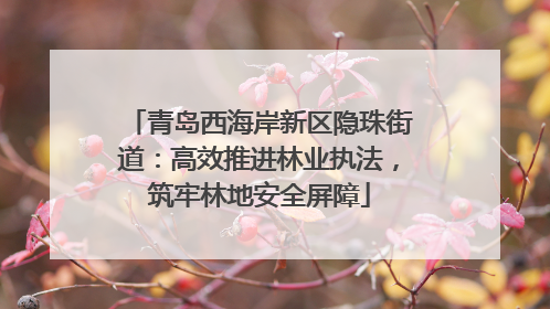 青岛西海岸新区隐珠街道：高效推进林业执法，筑牢林地安全屏障