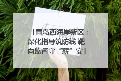 青岛西海岸新区：深化指导筑防线 靶向监督守“薪”安
