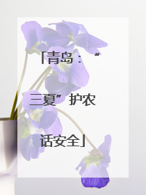 青岛：“三夏”护农话安全