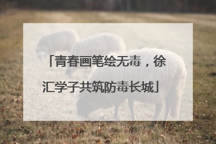 青春画笔绘无毒，徐汇学子共筑防毒长城