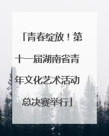 青春绽放！第十一届湖南省青年文化艺术活动总决赛举行