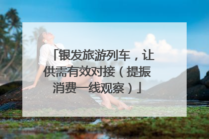银发旅游列车，让供需有效对接（提振消费一线观察）