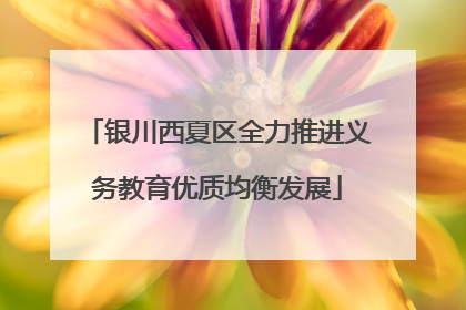 银川西夏区全力推进义务教育优质均衡发展