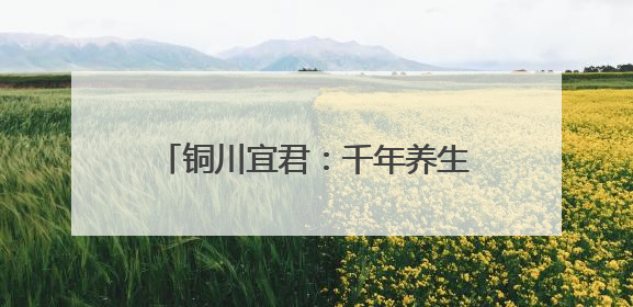 铜川宜君：千年养生智慧烹出时代新滋味